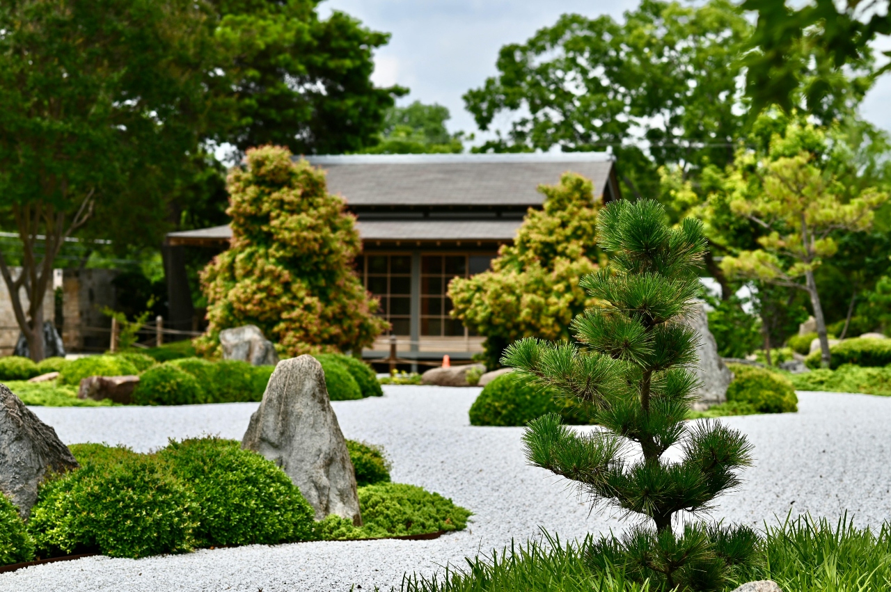 Green Trees near Brown Wooden House